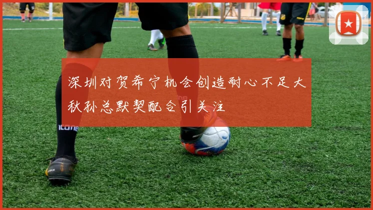 深圳对贺希宁机会创造耐心不足大秋孙总默契配合引关注