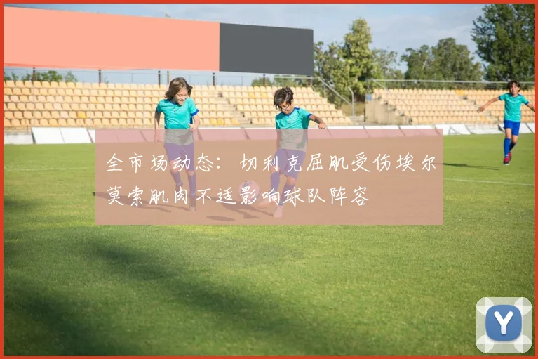 全市场动态：切利克屈肌受伤埃尔莫索肌肉不适影响球队阵容